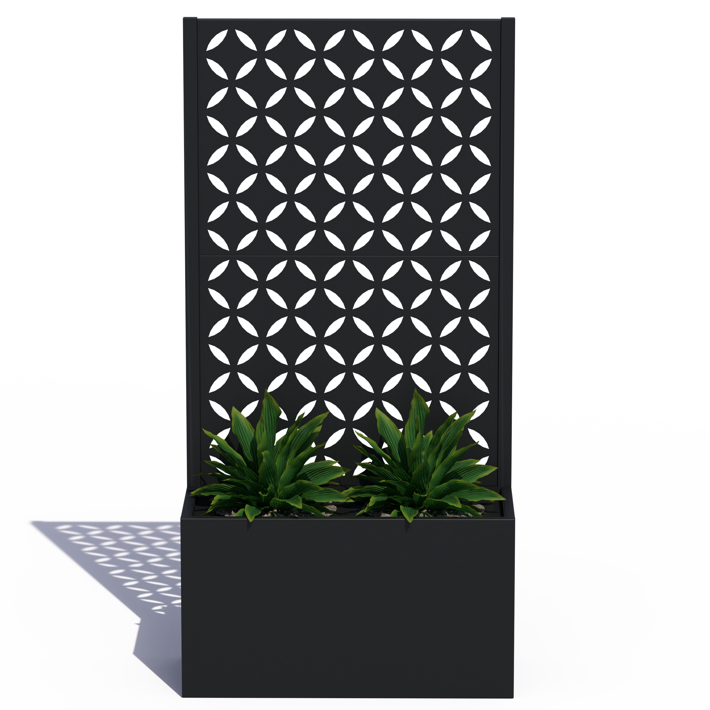 Privacy Planter (Morocco)