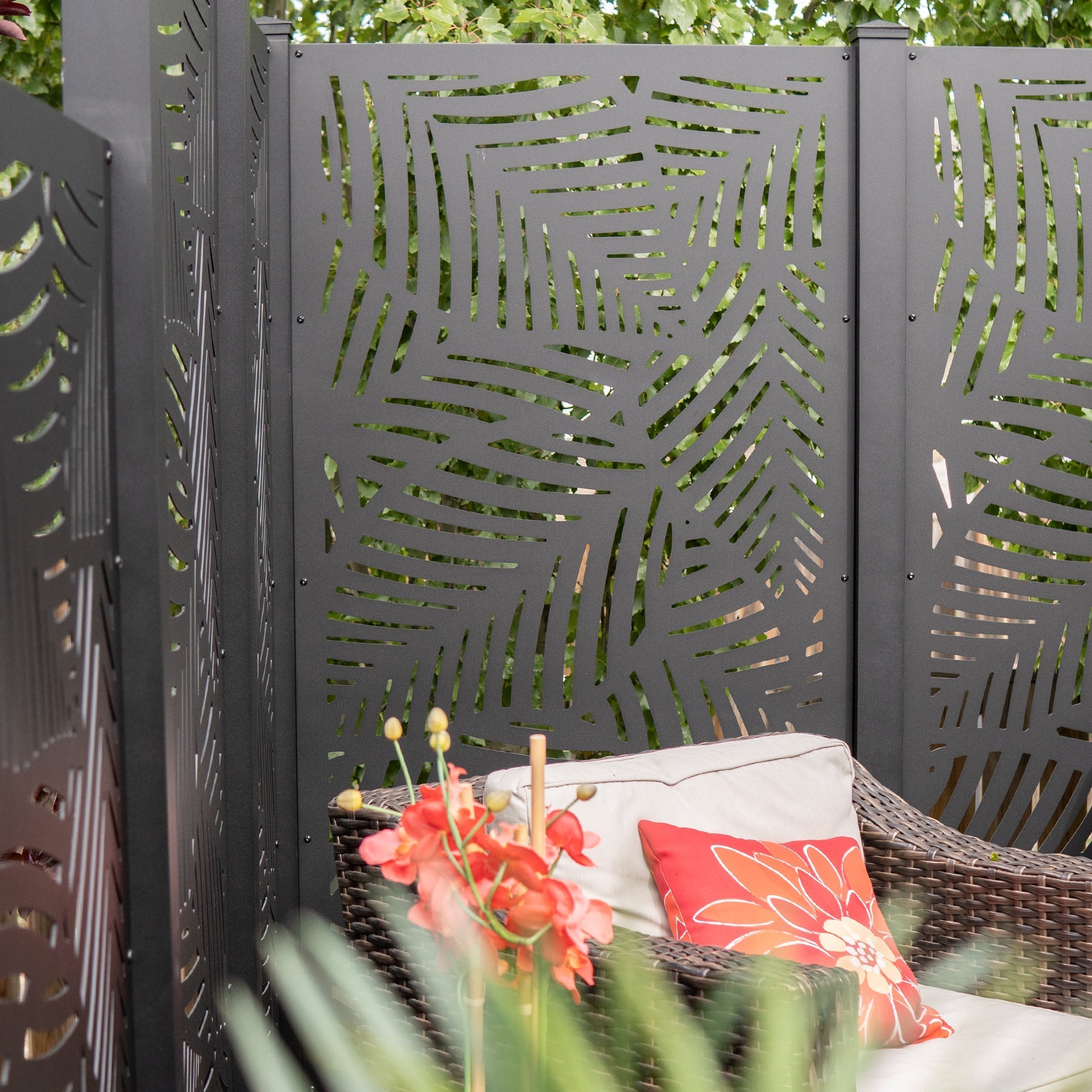 Privacy Screen (Maui)